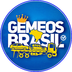Gemeos Brasil